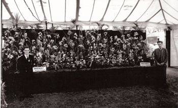 Chelsea flower show exhibit 1958